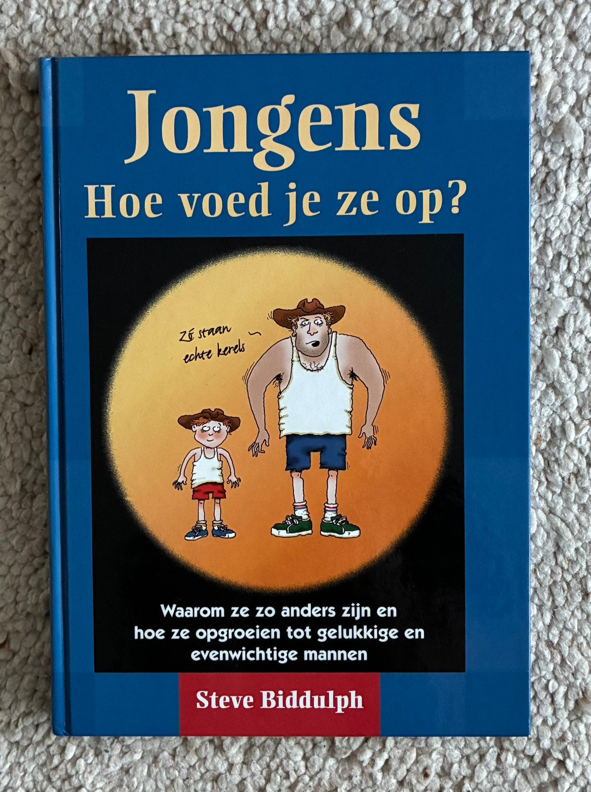 S. Biddulph - Jongens, hoe voed je ze op?, Ophalen of Verzenden, Zo goed als nieuw, S. Biddulph