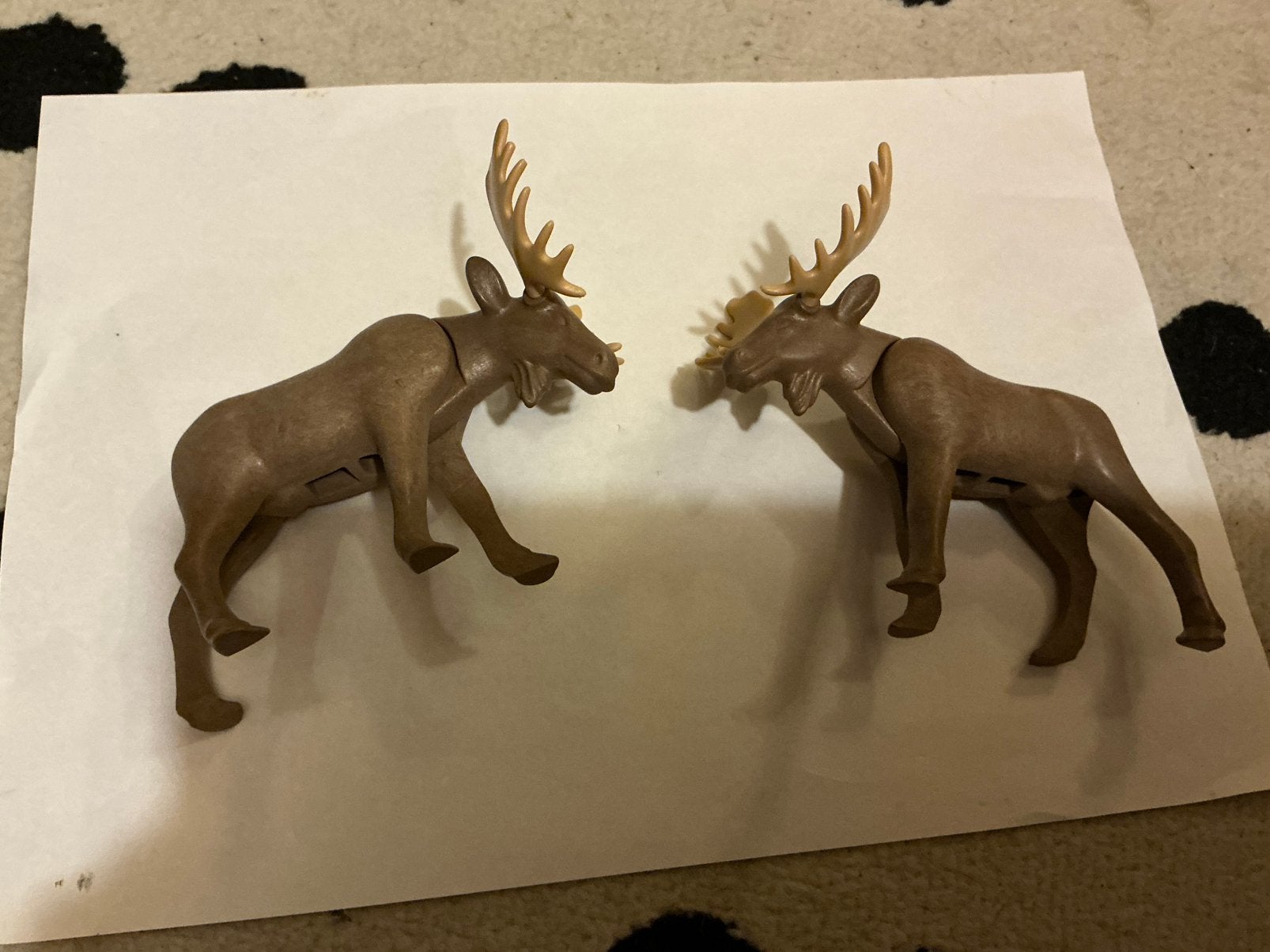 Eland, Ophalen of Verzenden, Zo goed als nieuw