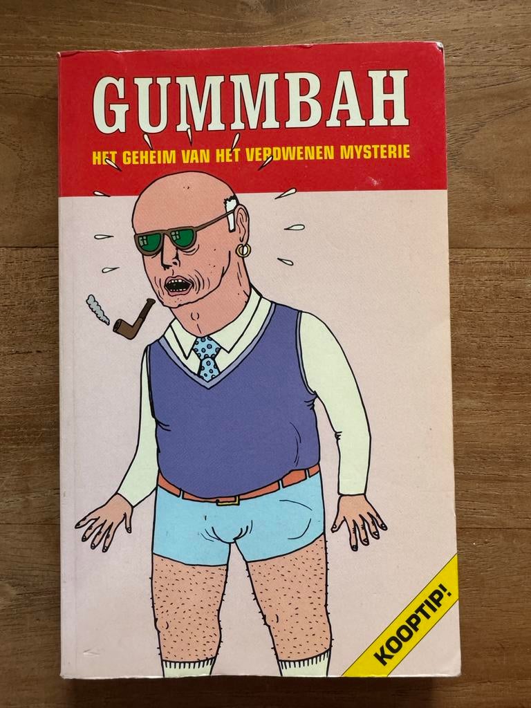 Het Geheim van het Verdwenen Mysterie - Gummbah, Boeken, Ophalen, Gelezen