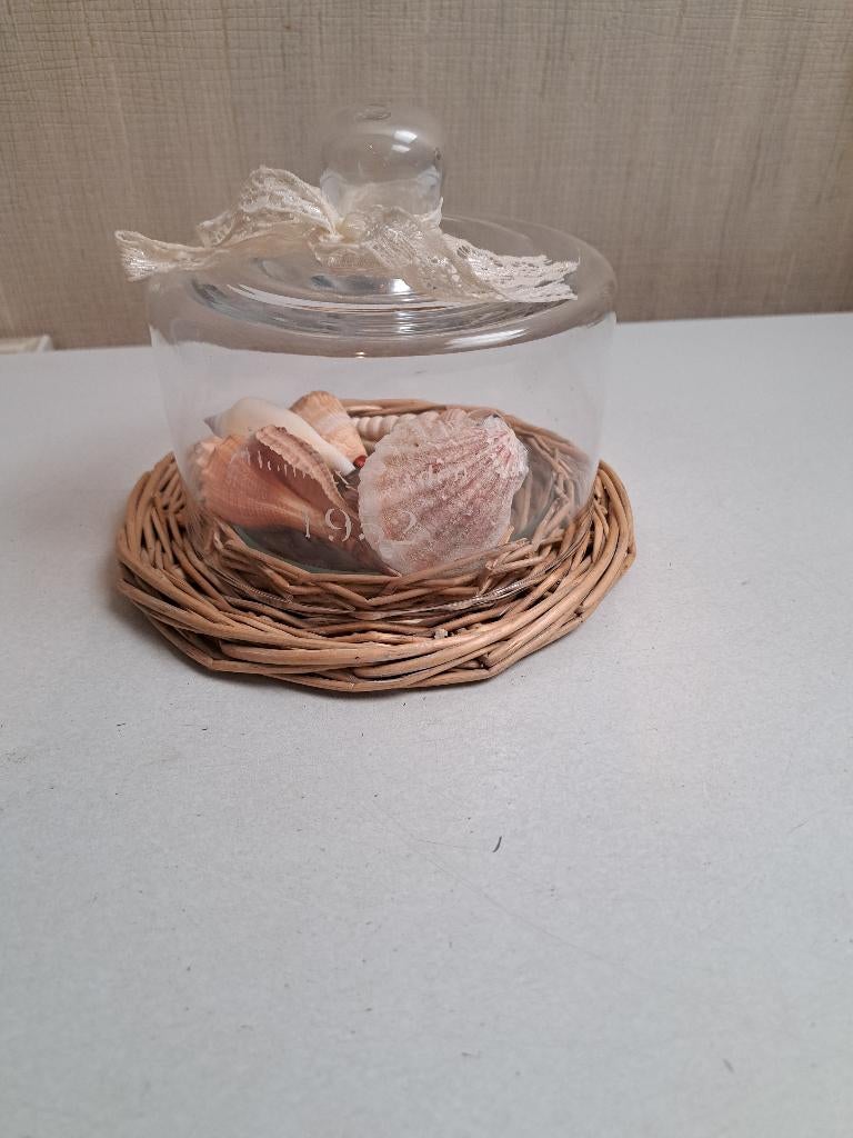 stolpje met schelpen, Ophalen of Verzenden