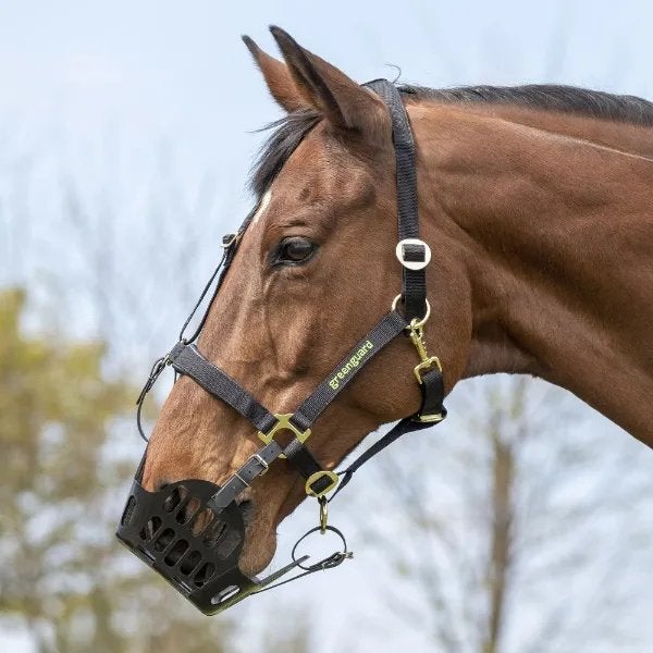 Gevraagd Cob Shires Greenguard graasmasker incl. halster, Dieren en Toebehoren, Paarden en Pony's | Overige Paardenspullen, Ophalen of Verzenden
