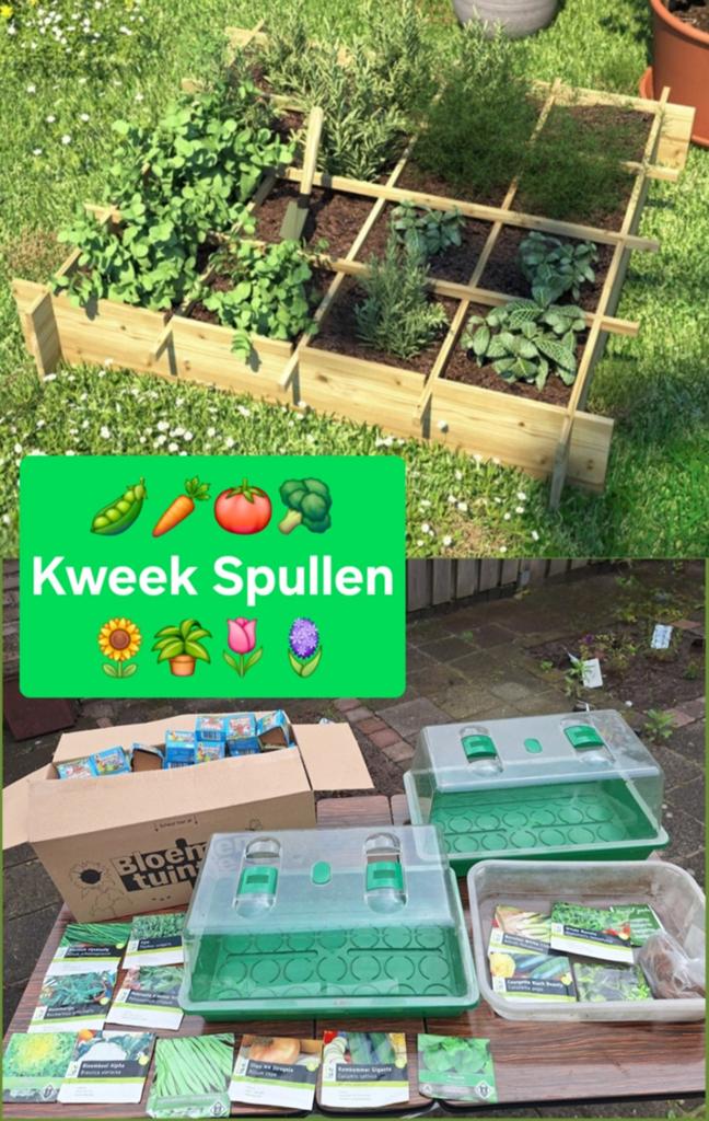Moestuin Kweekbak 🫛🍅🥕 Groenten Bloemen 🌻🌷 Kweken Zaaien, Ophalen, Zo goed als nieuw, Kweekbak