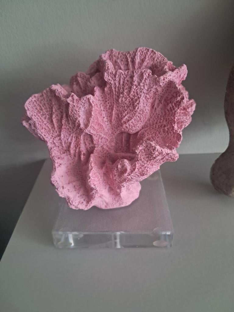 Decoratief koraal roze, Ophalen of Verzenden, Zo goed als nieuw, Roze, Modern