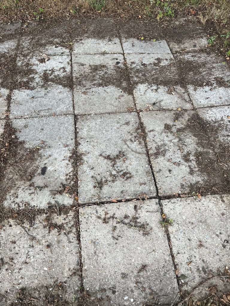 tuintegels, Ophalen, Gebruikt, Beton, Terrastegels