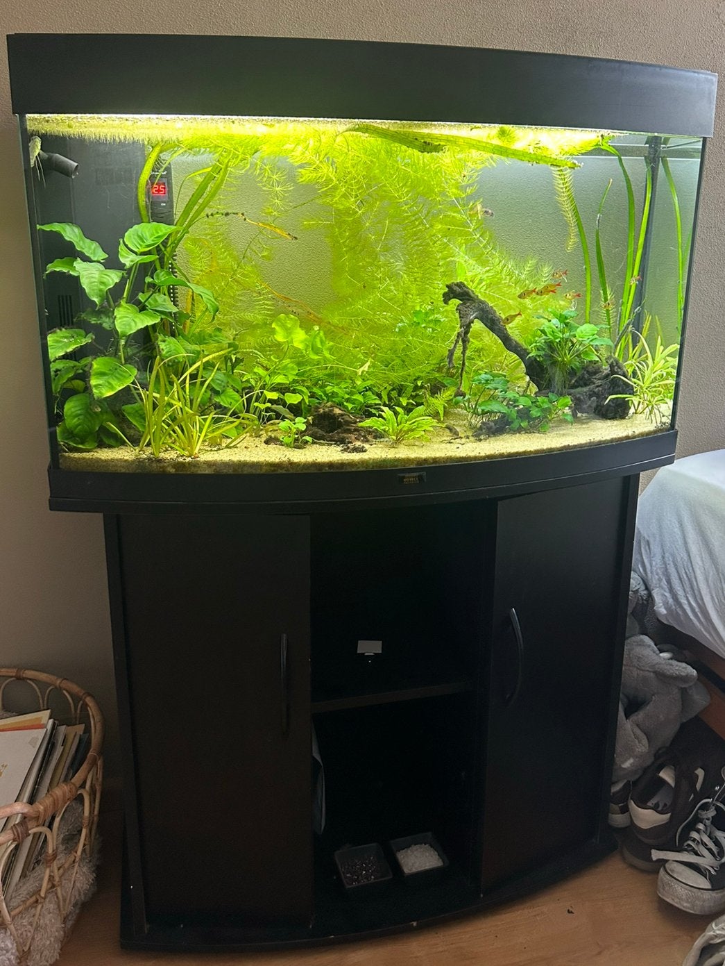 Juwel Rio vision 180 compleet, Dieren en Toebehoren, Vissen | Aquaria en Toebehoren, Ophalen, Zo goed als nieuw, Gevuld zoetwateraquarium