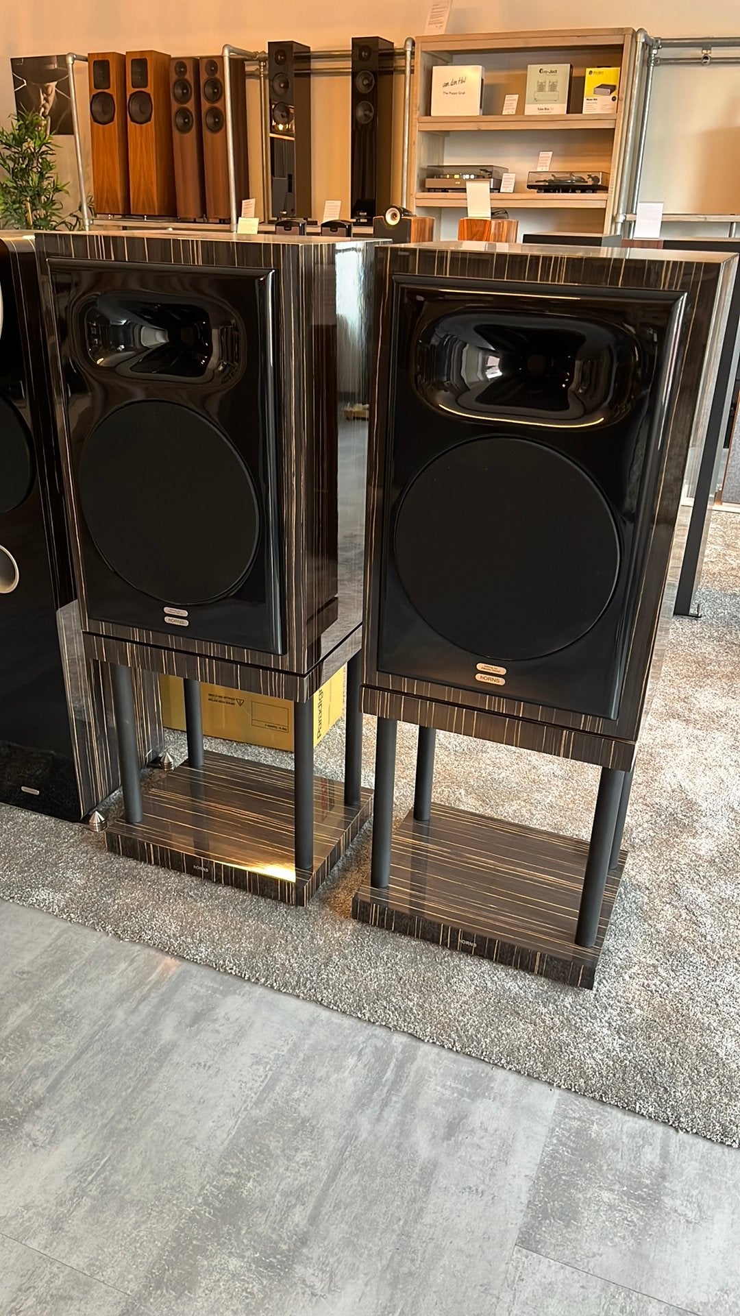 HORNS FP12 luidsprekers in nieuwstaat met Stands, Audio, Tv en Foto, Luidsprekers, Ophalen, Horns, Zo goed als nieuw, Bowers & Wilkins (B&W)