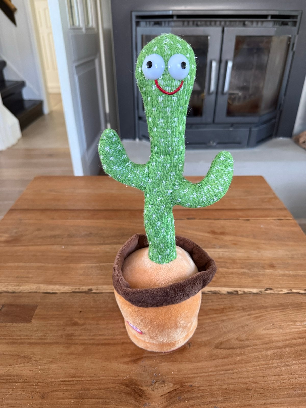 Dansende en zingende cactus, Ophalen of Verzenden, Zo goed als nieuw, Jongen of Meisje