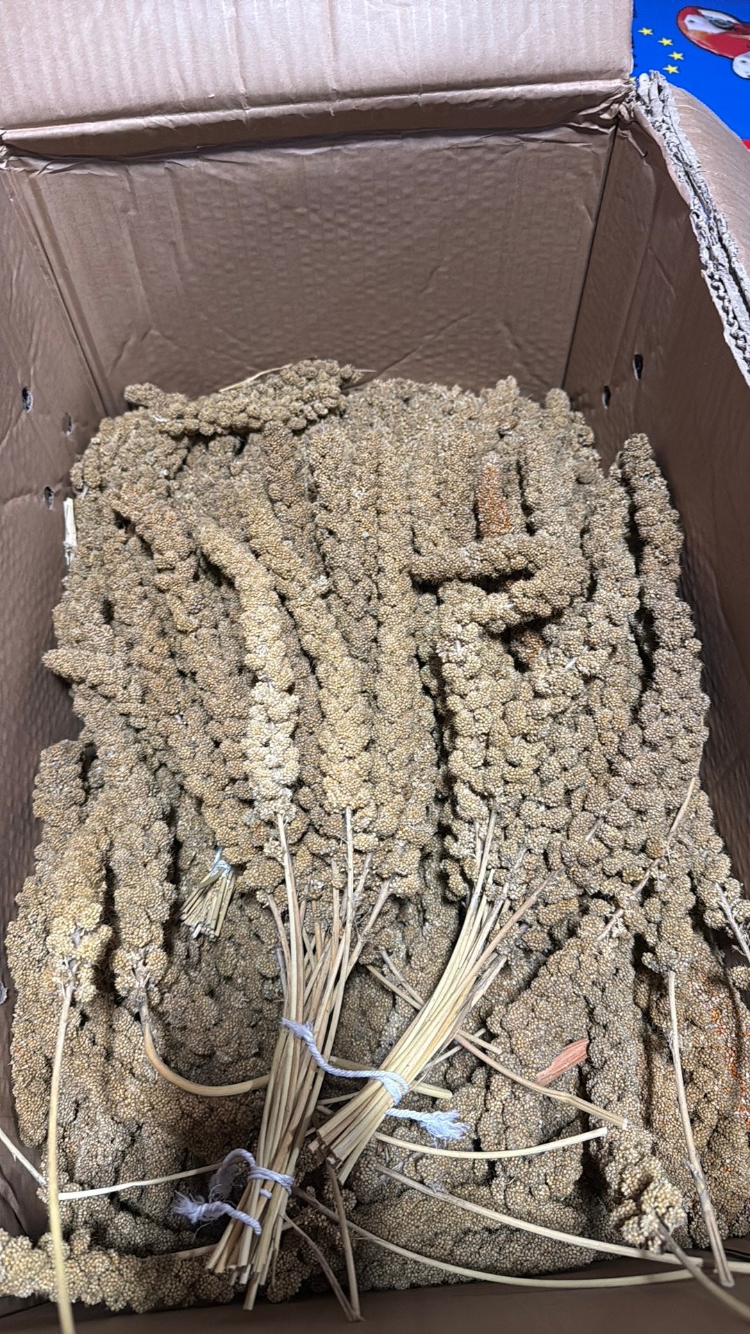 1 KG Gierst €6,95, Ophalen of Verzenden, Vogel