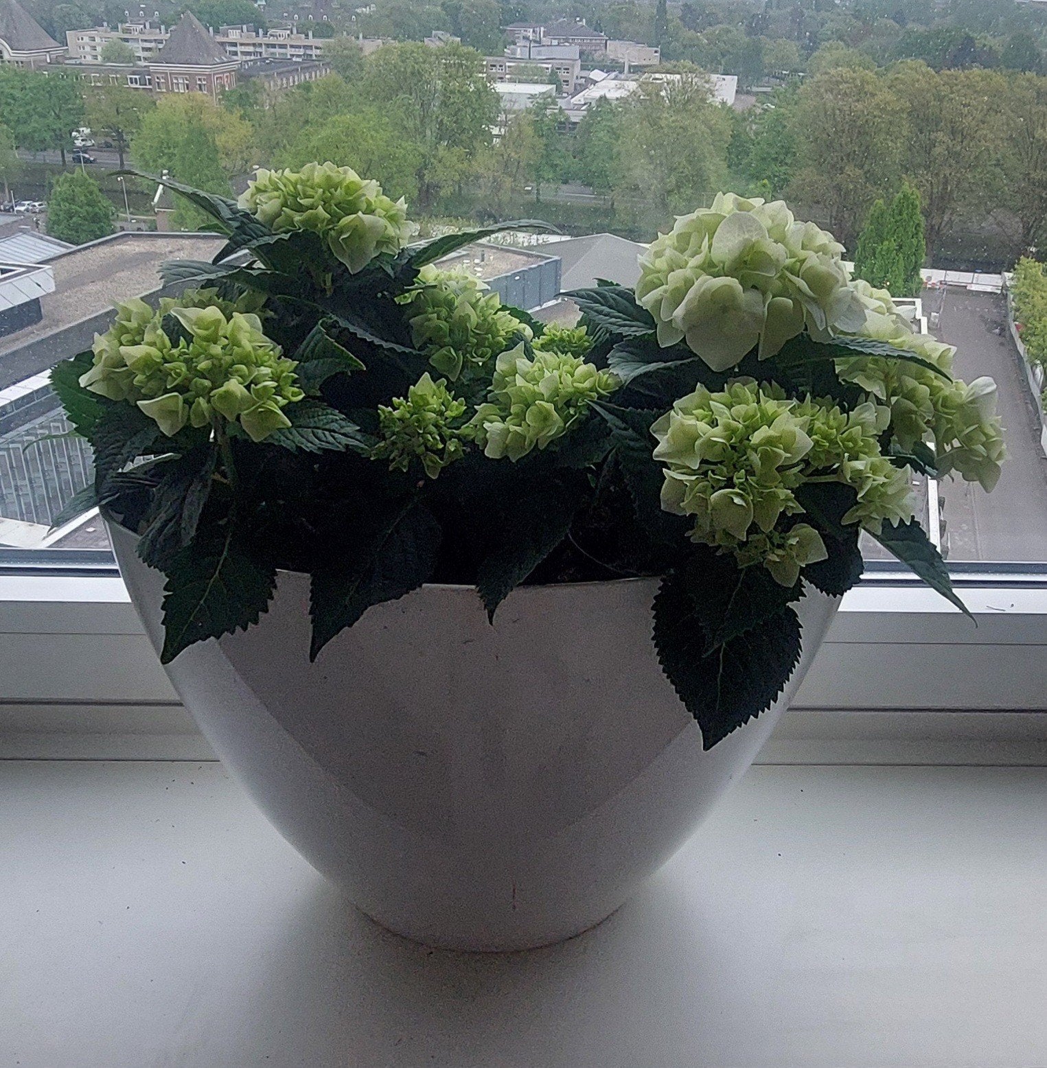 Mooie grote hoge witte ovalen keramische plant bloempot pot, Tuin en Terras, Ophalen, Rond, Aardewerk, Binnen