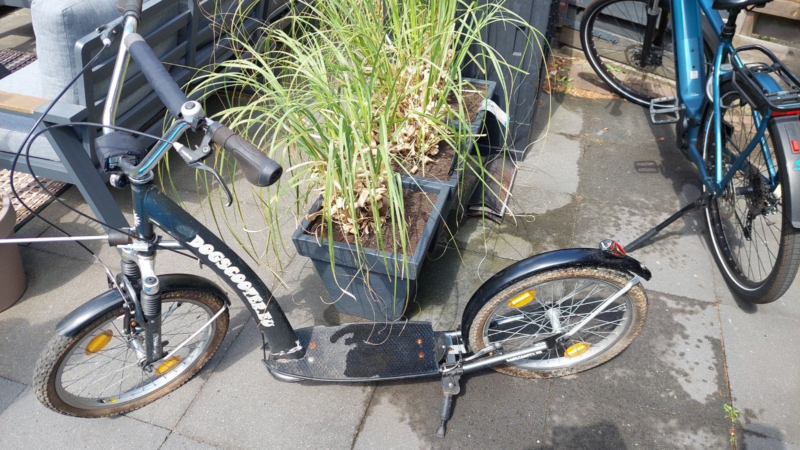 Hondenstep met Spinder drager, Fietsen en Brommers, Steps, Ophalen, Gebruikt, Gewone step