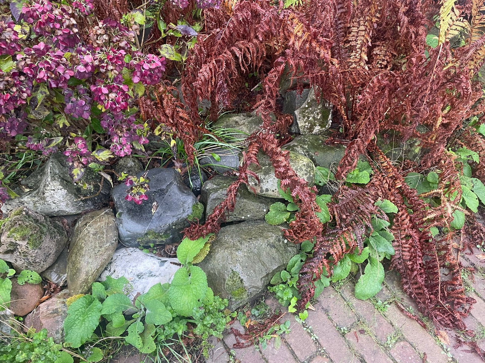 Keien., Overige materialen, Gebruikt, Ophalen of Verzenden, Kei
