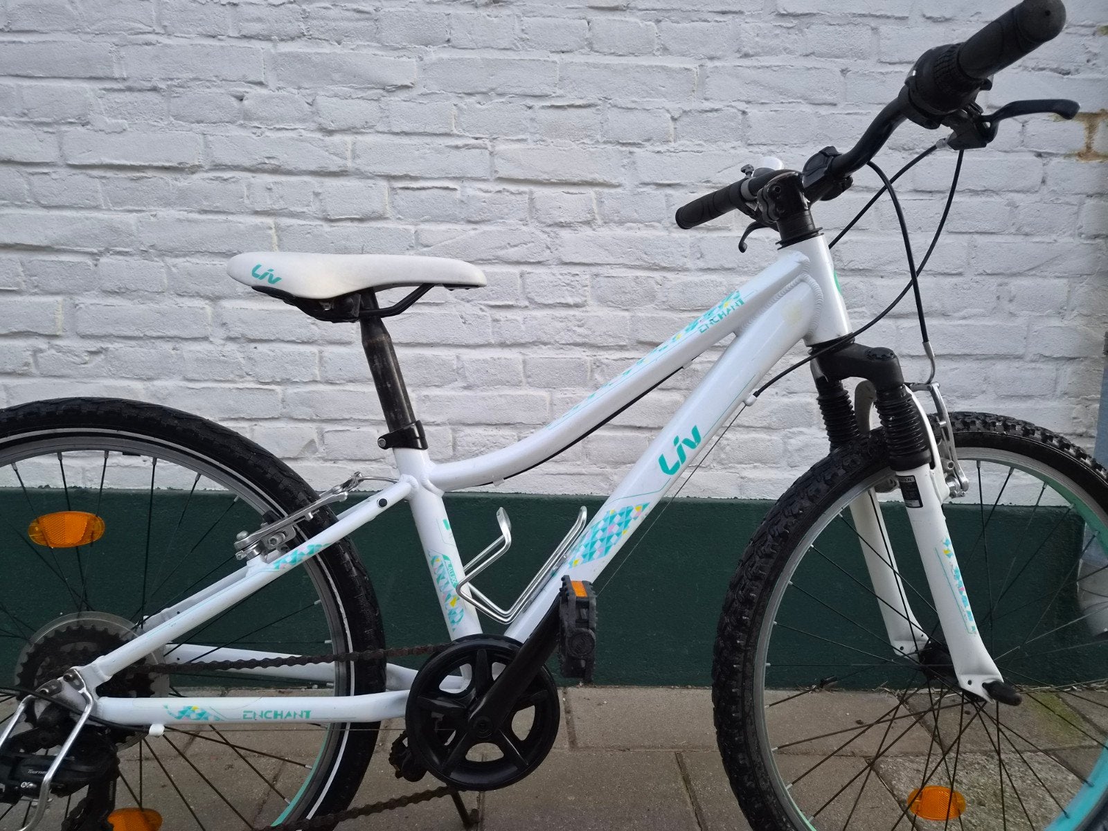 Liv (Giant) MTB voor meisjes, Ophalen, 20 inch of meer, Gebruikt, Velgrem