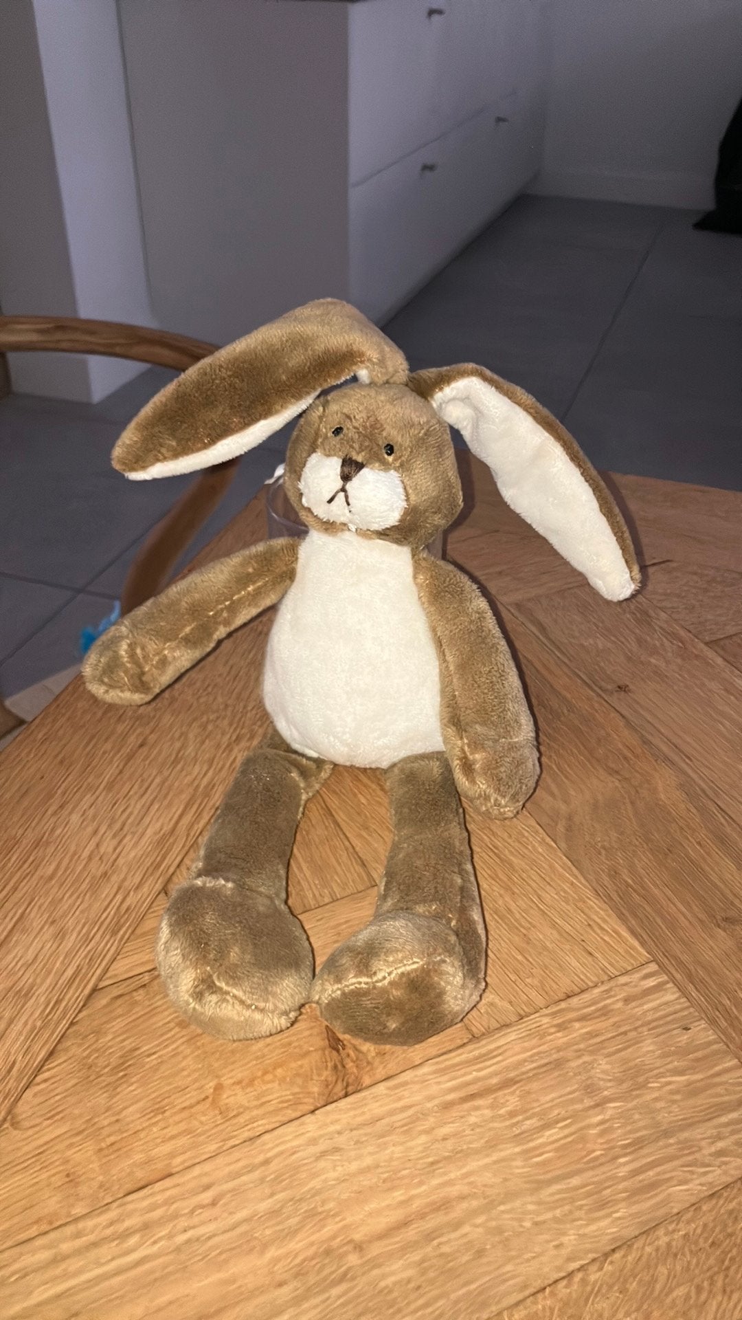 Bunny friend konijn, Ophalen of Verzenden, Zo goed als nieuw, Middelgroot (20 tot 80 cm), Bruin
