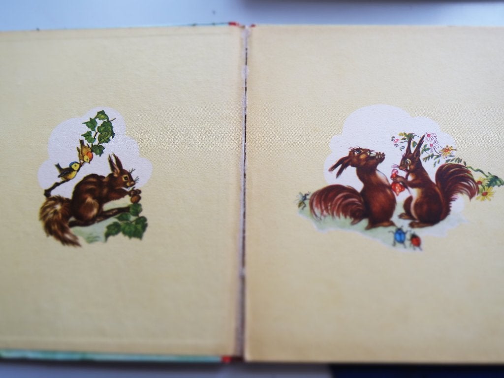 springer de eekhoorn,door D.Rudeman,jaren 50, Boeken, Ophalen of Verzenden, Gelezen, D.Rudeman, Fictie algemeen