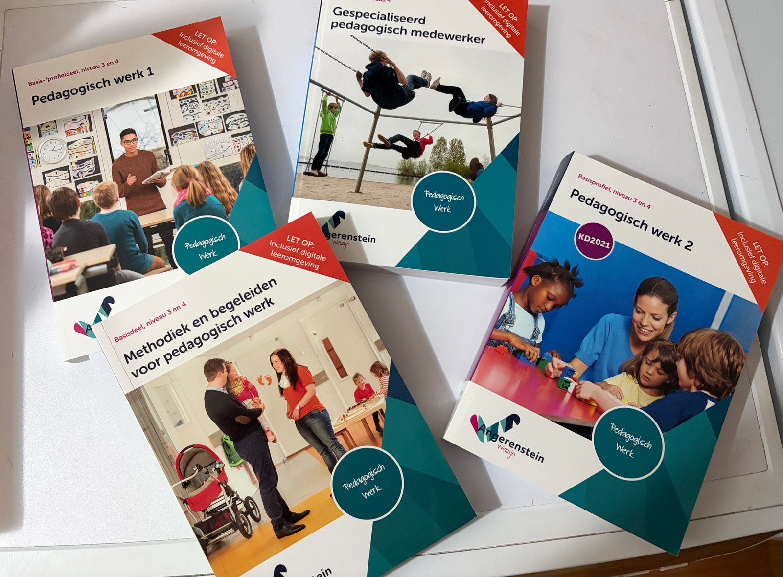 Pedagogisch medewerker schoolboeken, Ophalen of Verzenden, Zo goed als nieuw, Overige niveaus, Overige vakken