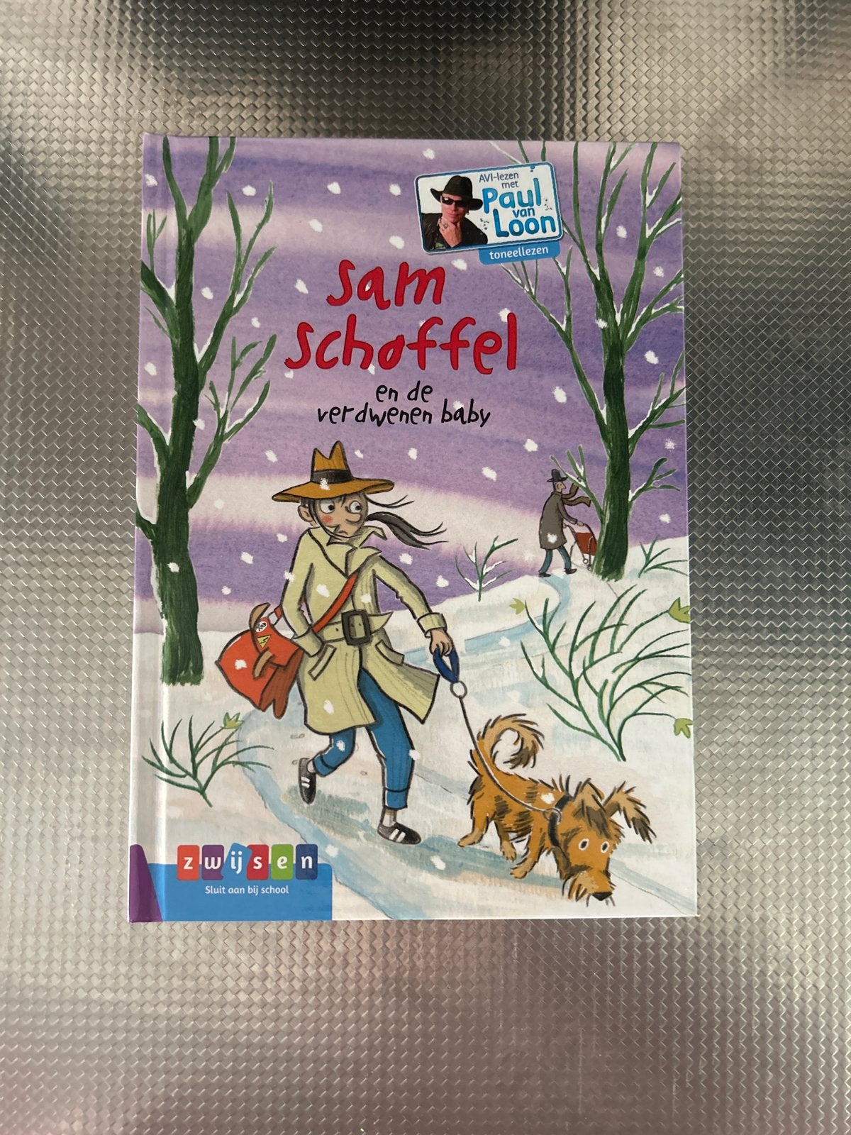 Sam Schoffel en de verdwenen baby - Paul van Loon, Boeken, Ophalen of Verzenden, Zo goed als nieuw, Fictie algemeen