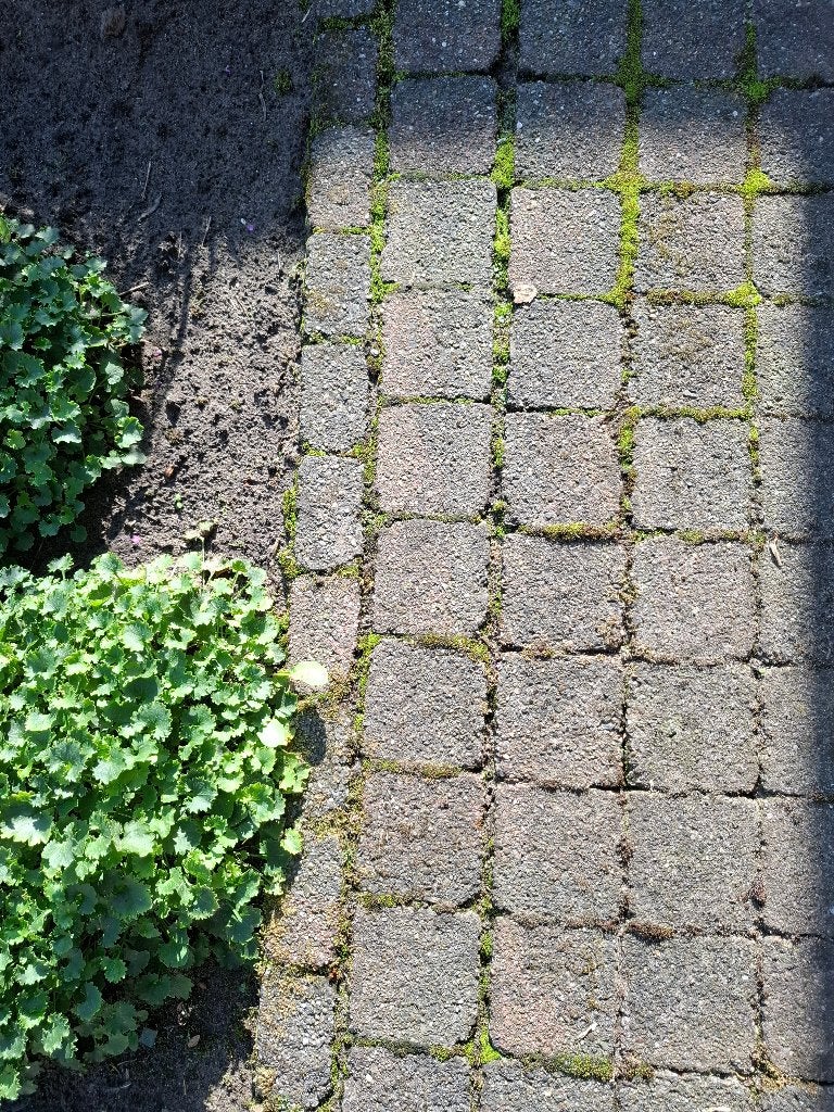 cobble stones, Ophalen, Gebruikt, Overige typen, Minder dan 5 m²