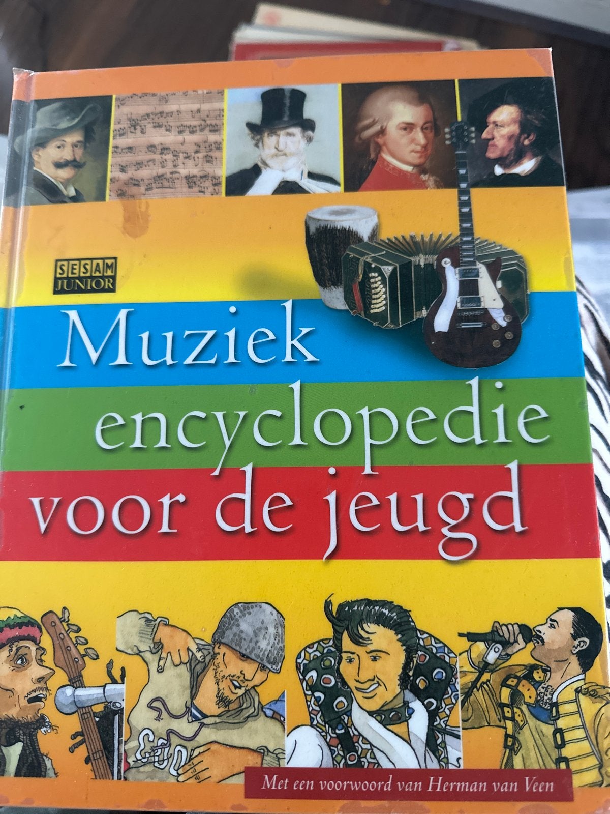 Muziek encyclopedie voor de jeugd - Sesam Junior, Ophalen of Verzenden, Gelezen, Algemeen