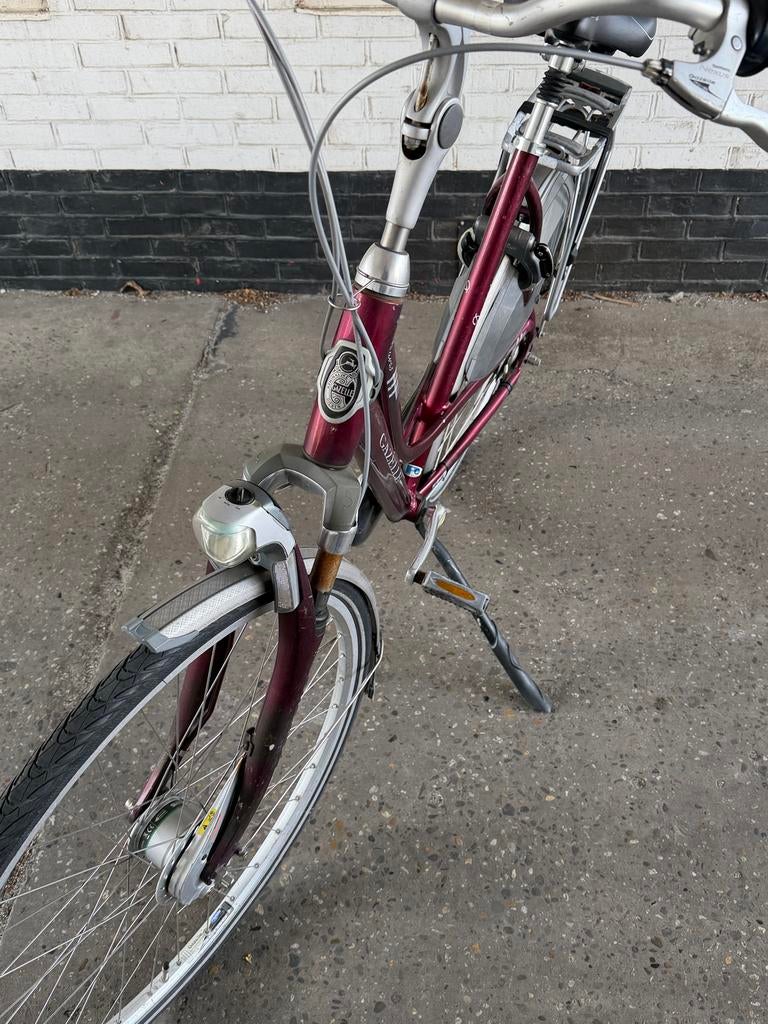 Gazelle fietst, Ophalen of Verzenden