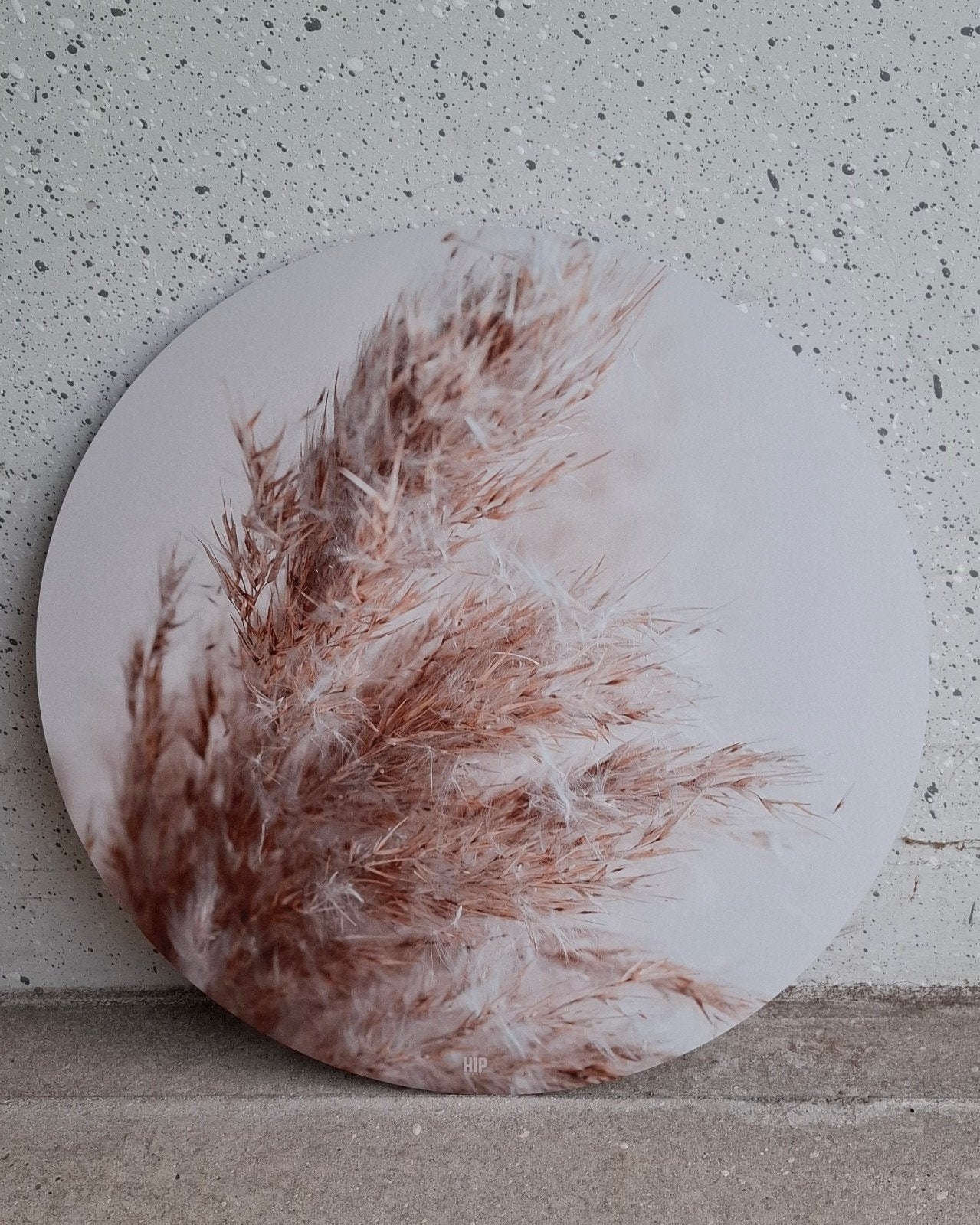 HIP Wandcirkel Pampasgras - 60 cm - Zo goed als nieuw, Ophalen, Zo goed als nieuw, Wandcirkel, Roze