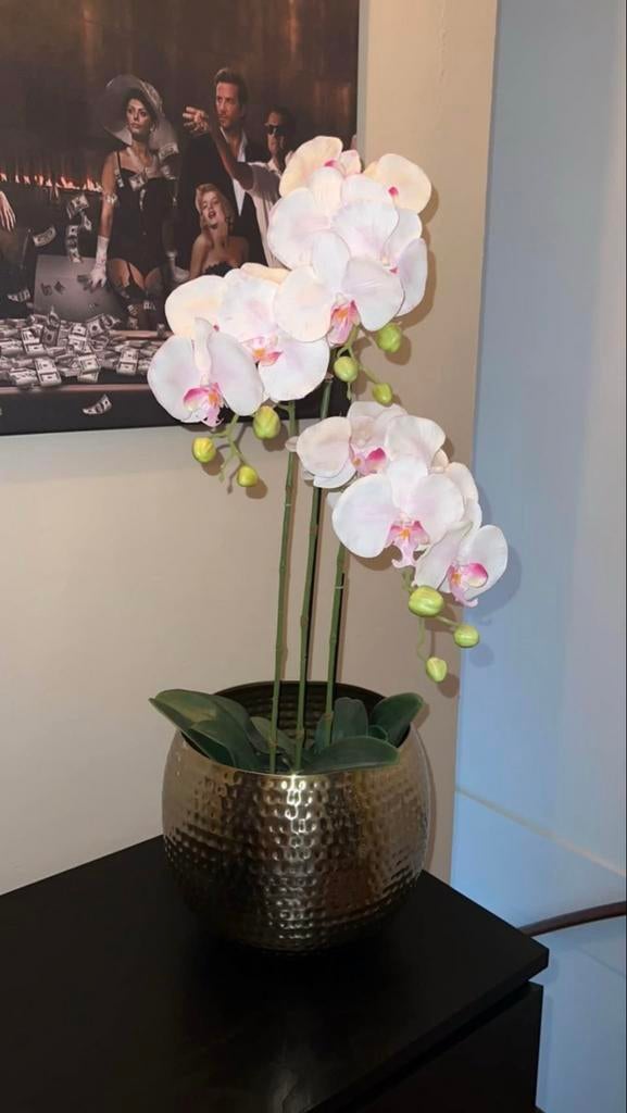 Prachtige kunst orchidee in gouden pot, Ophalen, Binnen, Kunstplant, Textiel