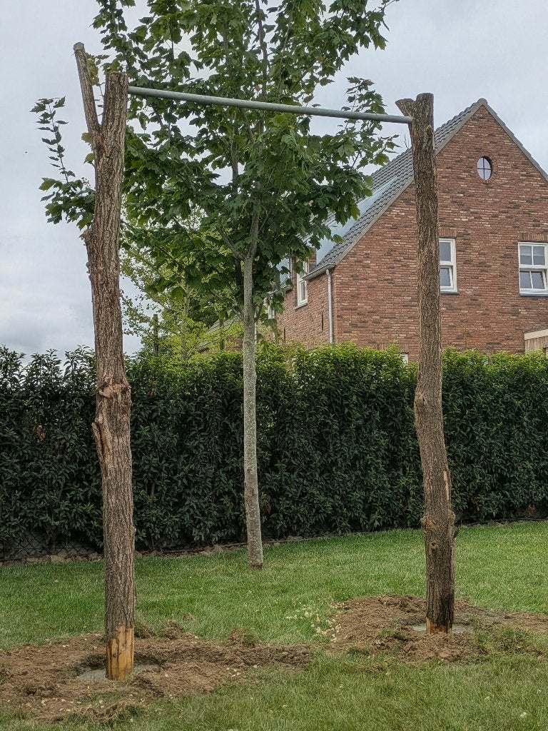 Houten Sporttoestel voor de Tuin - Calisthenics, Ophalen, Nieuw, Benen, Overige typen