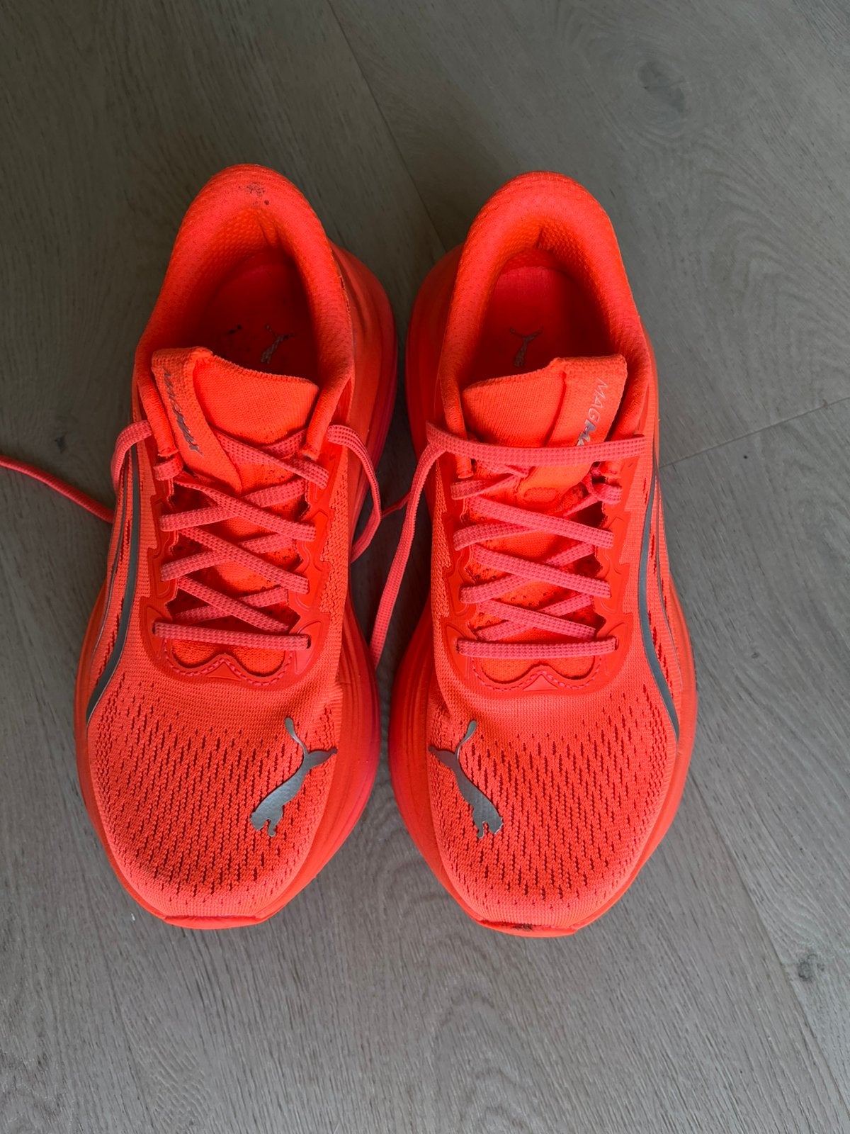 Hardloopschoenen merk Puma maat 37,5, Ophalen, Zo goed als nieuw, Hardloopschoenen, Overige merken