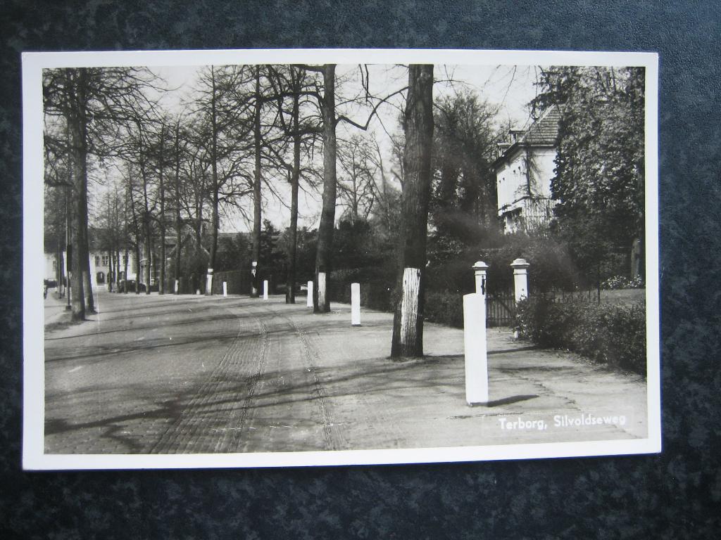 TERBORG Silvoldscheweg B, Ophalen of Verzenden, 1960 tot 1980, Gelderland