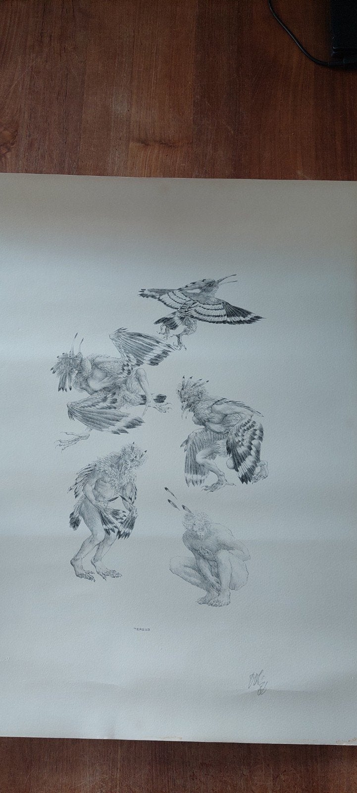 Gesigneerde tekening 'Tereus' van Peter Vos, Ophalen