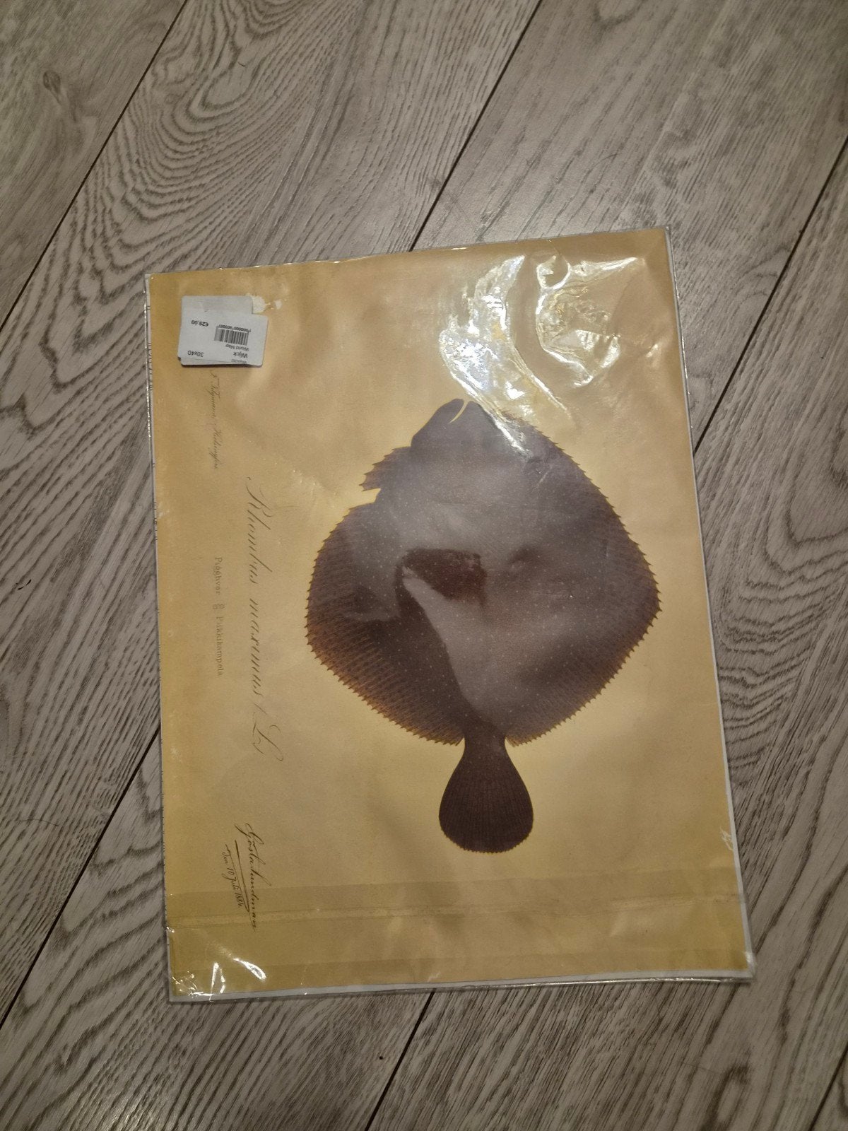 schilderij of print, Huis en Inrichting, Ophalen of Verzenden, Zo goed als nieuw