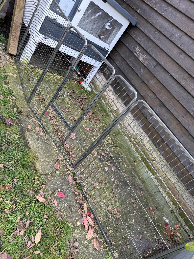 Ren, Dieren en Toebehoren, Ophalen, 110 cm of meer, 60 tot 90 cm, Zo goed als nieuw
