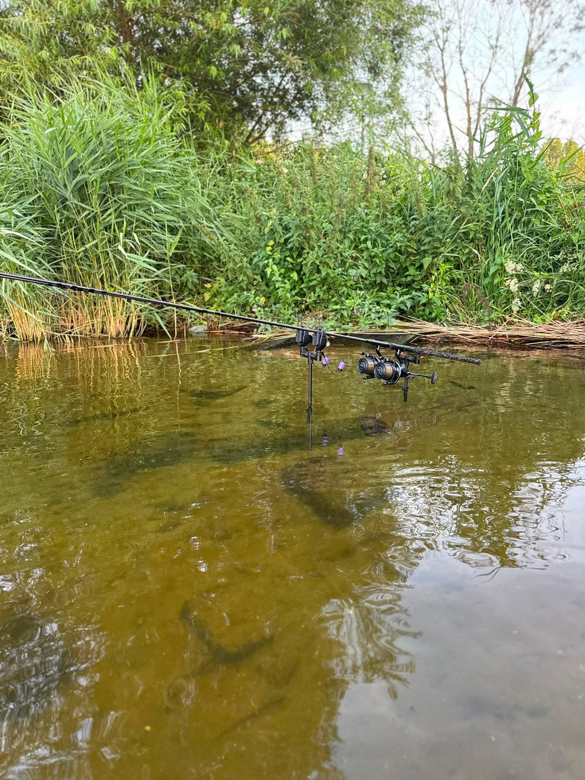Sonik Xtractor+ Rod Dark Camo 10ft, Watersport en Boten, Ophalen of Verzenden, Zo goed als nieuw, Werphengel