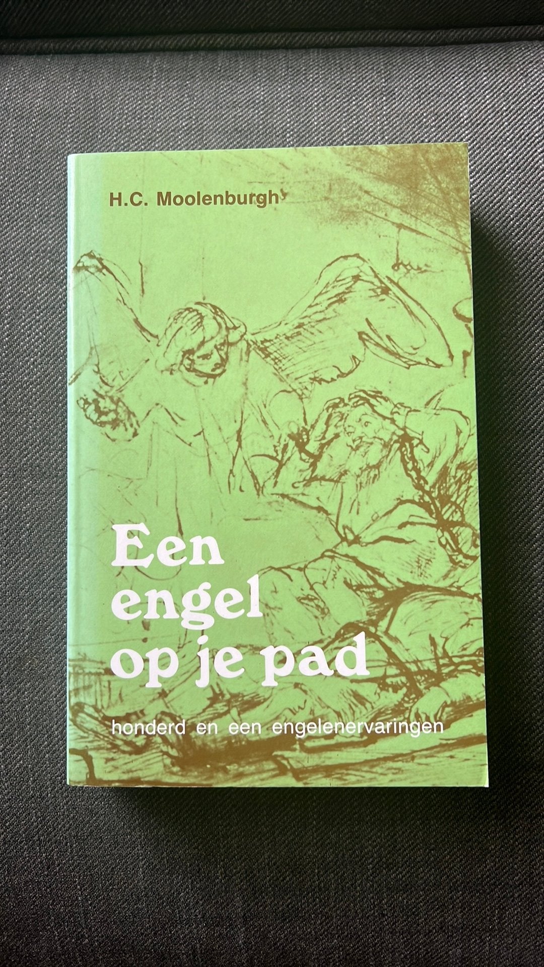 Een engel op je pad HC. Moolenburgh, Boeken, Ophalen of Verzenden, Zo goed als nieuw, Spiritualiteit algemeen, Achtergrond en Informatie