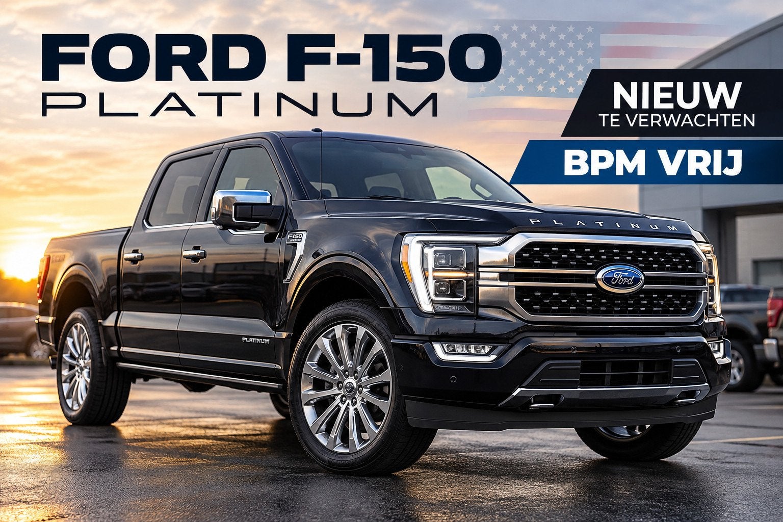 Ford USA F-150 3.5 V6 Ecoboost Platinum Crew Cab 4x4 Geheel, Auto's, Dealer onderhouden, Gebruikt, F-150, Zwart