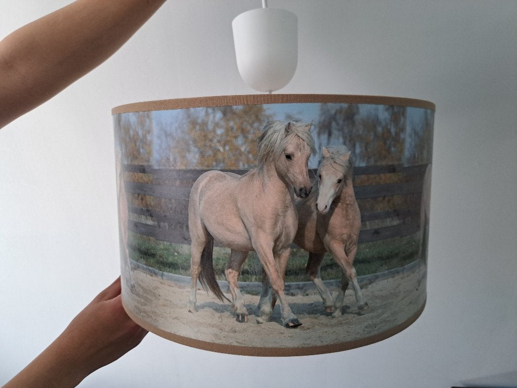 Leuke lamp met paarden, Ophalen, Zo goed als nieuw, Ophangbaar, Lamp