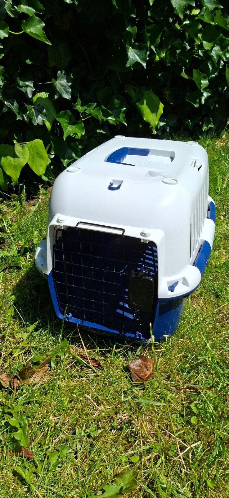 Kattenreismand in uitstekende staat, Ophalen, Zo goed als nieuw