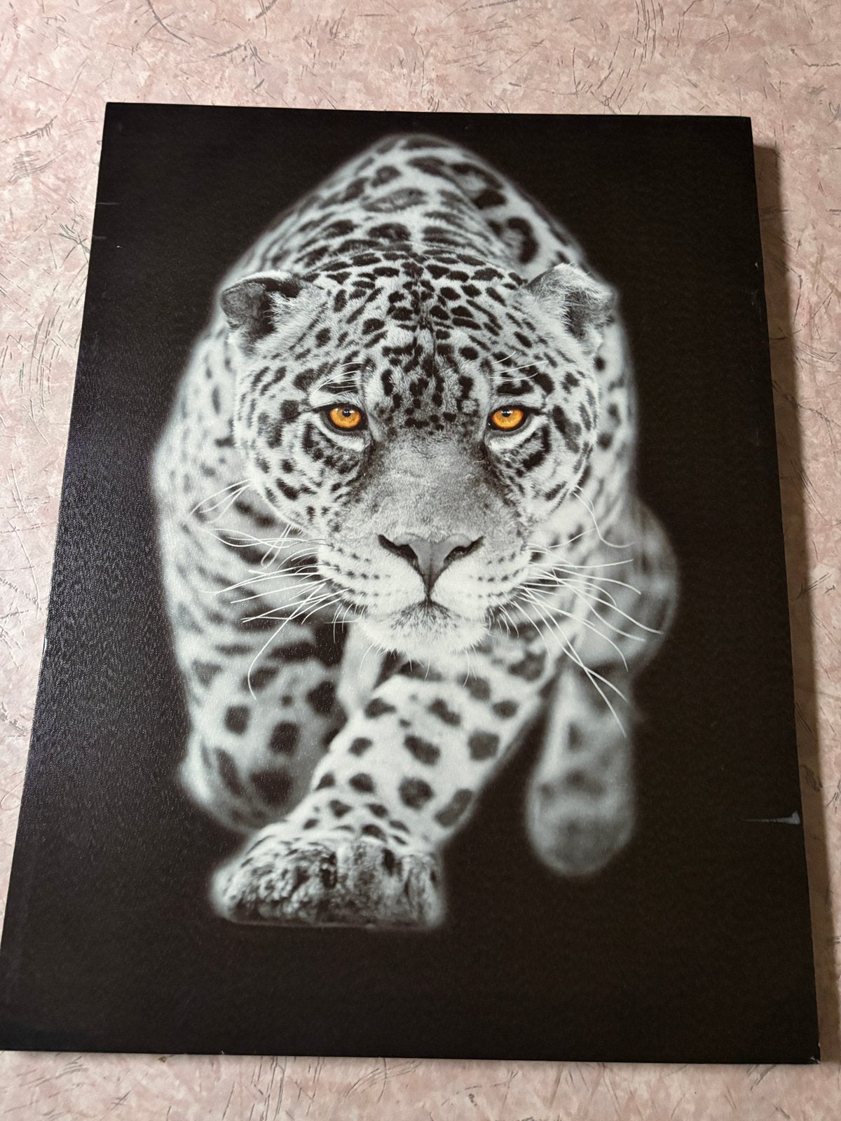 Mooie panter op canvas, Ophalen, Zo goed als nieuw, Schilderij