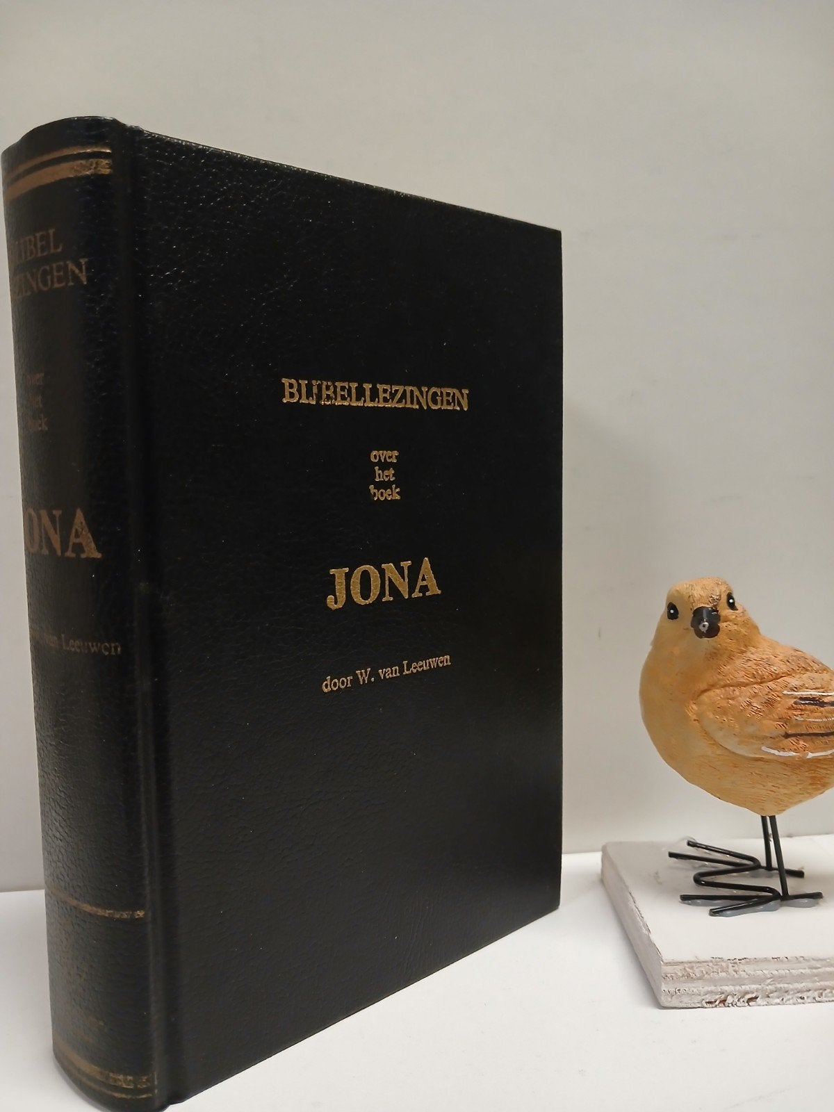 Leeuwen, W. van; Bijbellezingen over het boek Jona, Ophalen of Verzenden, Gelezen, Christendom | Protestants