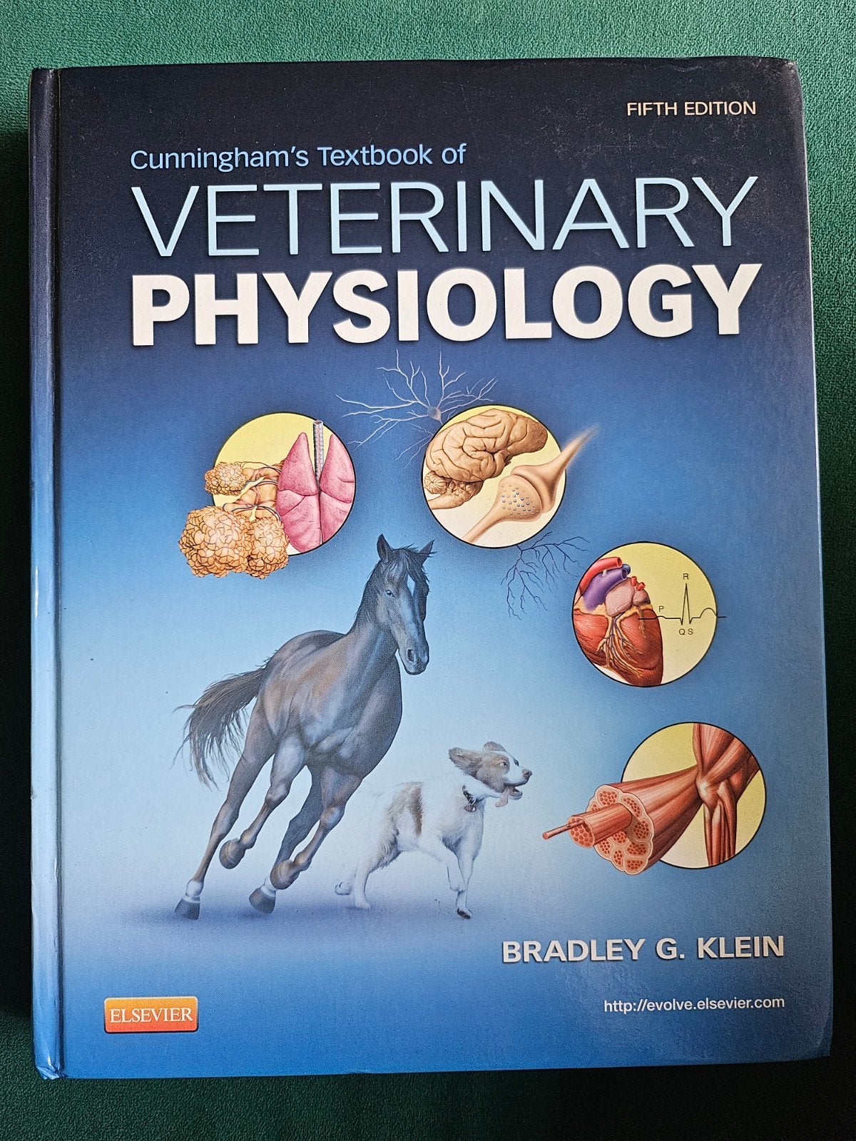Cunningham's Textbook of Veterinary Physiology 5e, Ophalen of Verzenden, Beta, Gelezen, WO