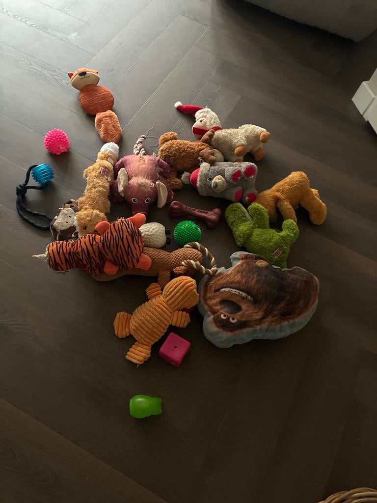 Honden speelgoed + honden knuffels, Ophalen of Verzenden, Zo goed als nieuw