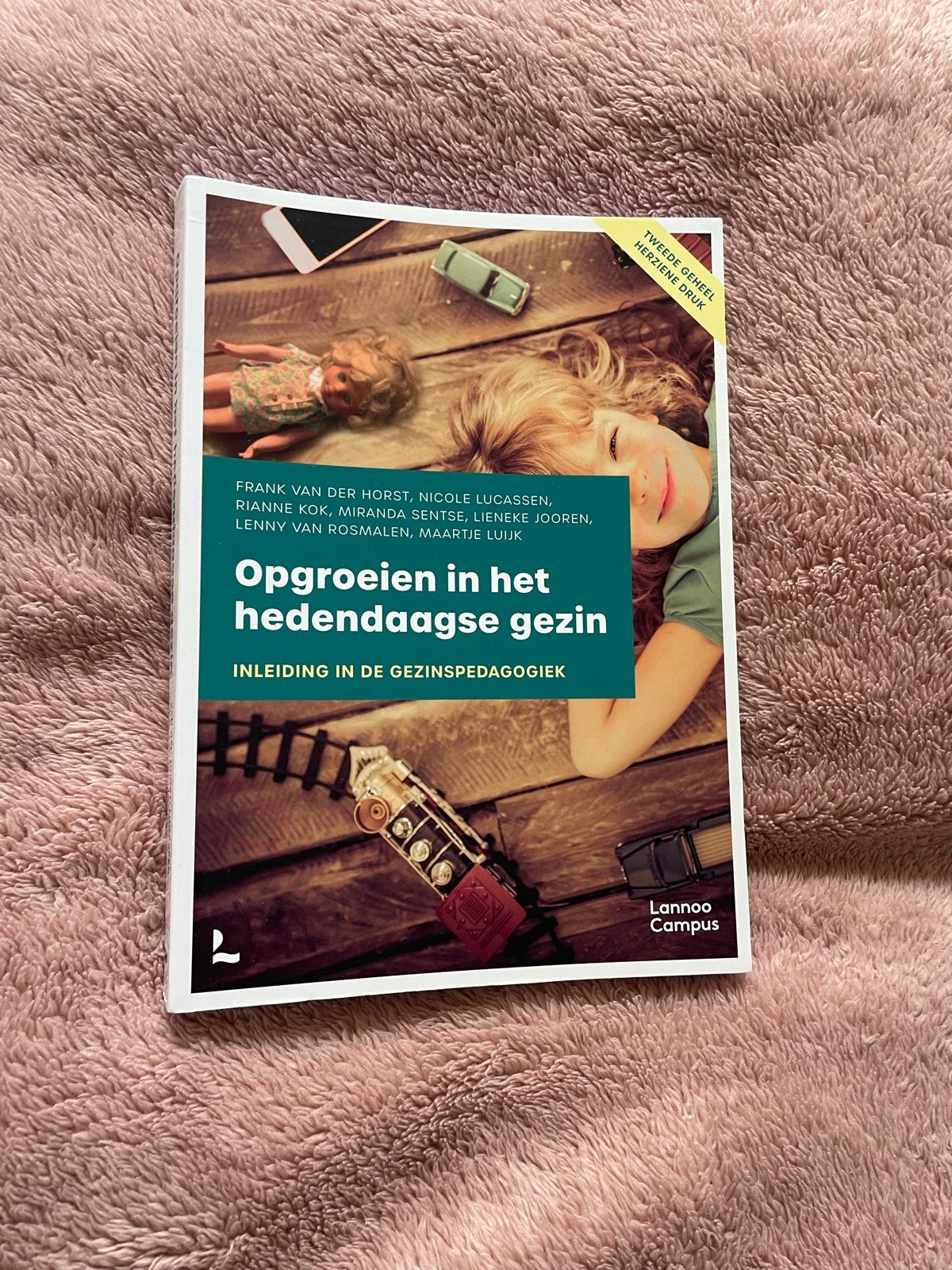 Opgroeien in het hedendaagse gezin - Gezinspedagogiek, Boeken, Ophalen of Verzenden, Gamma, Zo goed als nieuw, WO