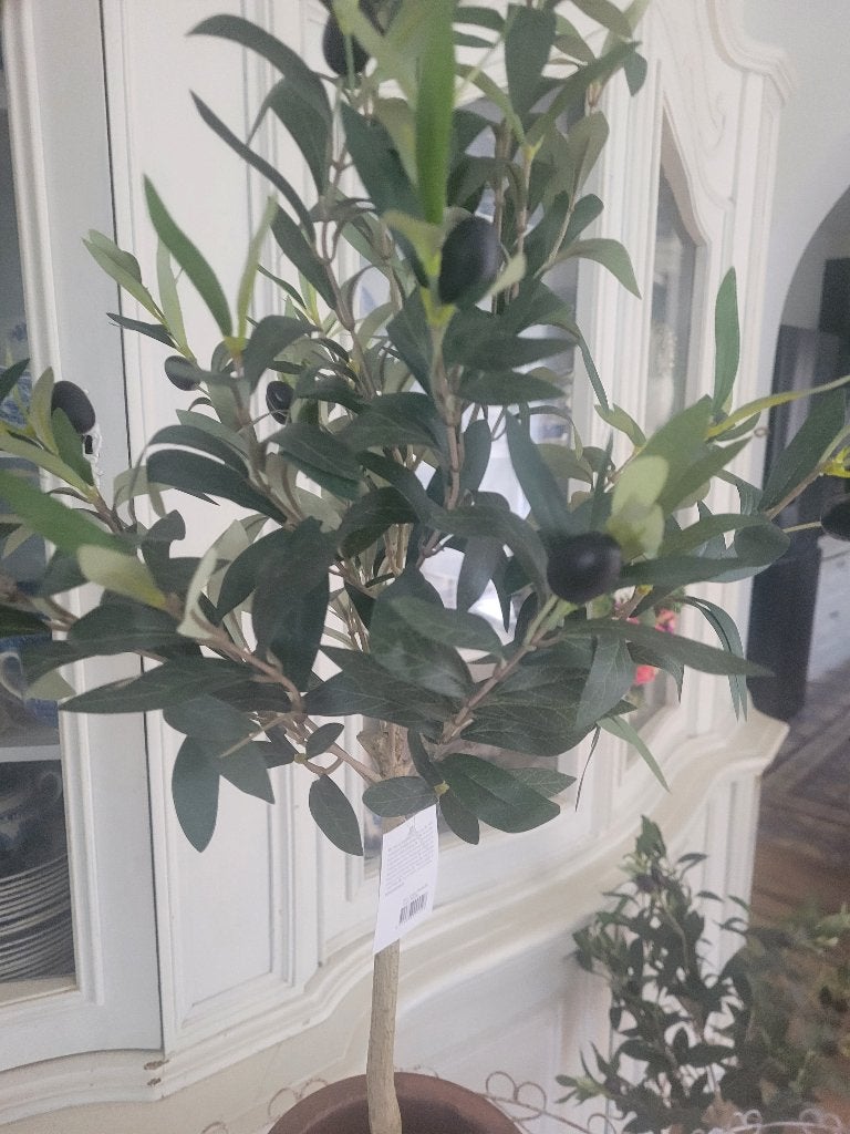 grotere oude grespot, olijfpot, Ophalen of Verzenden