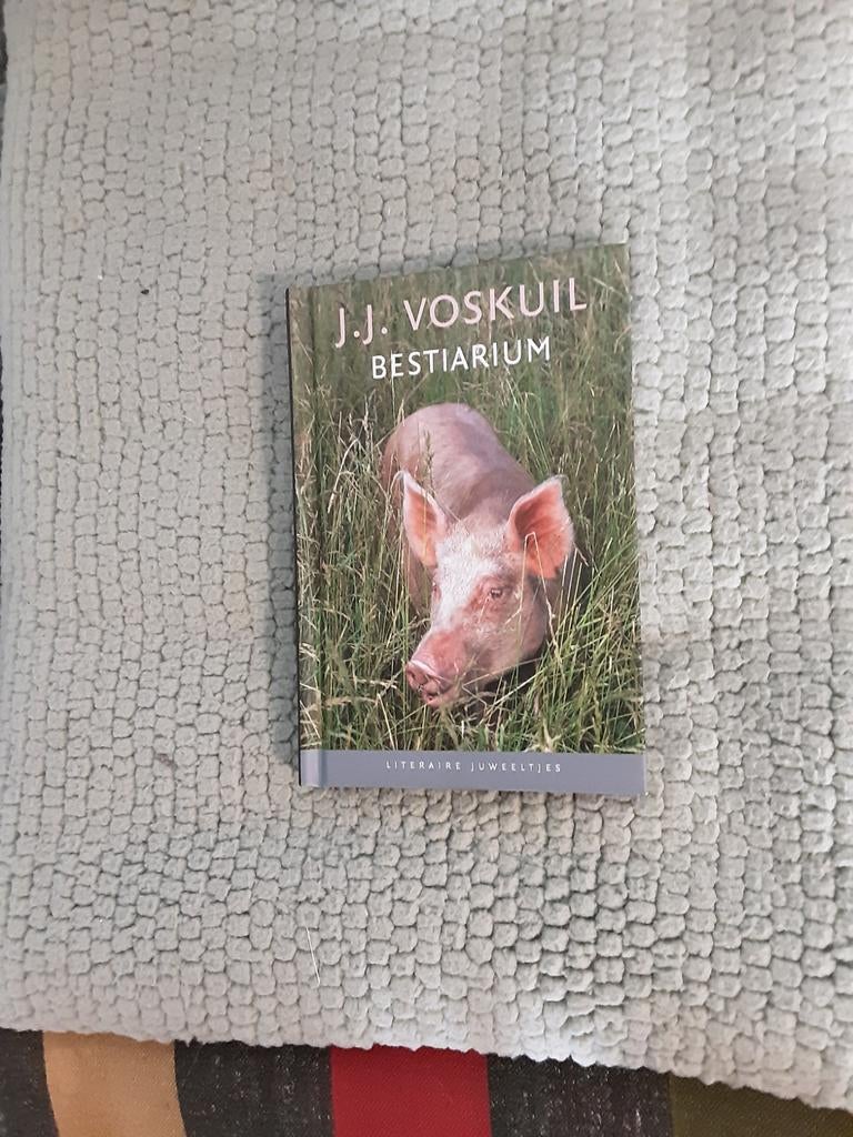 J.J. Voskuil---Bestarium, Ophalen of Verzenden, Zo goed als nieuw, Nederland, J.J.Voskuil