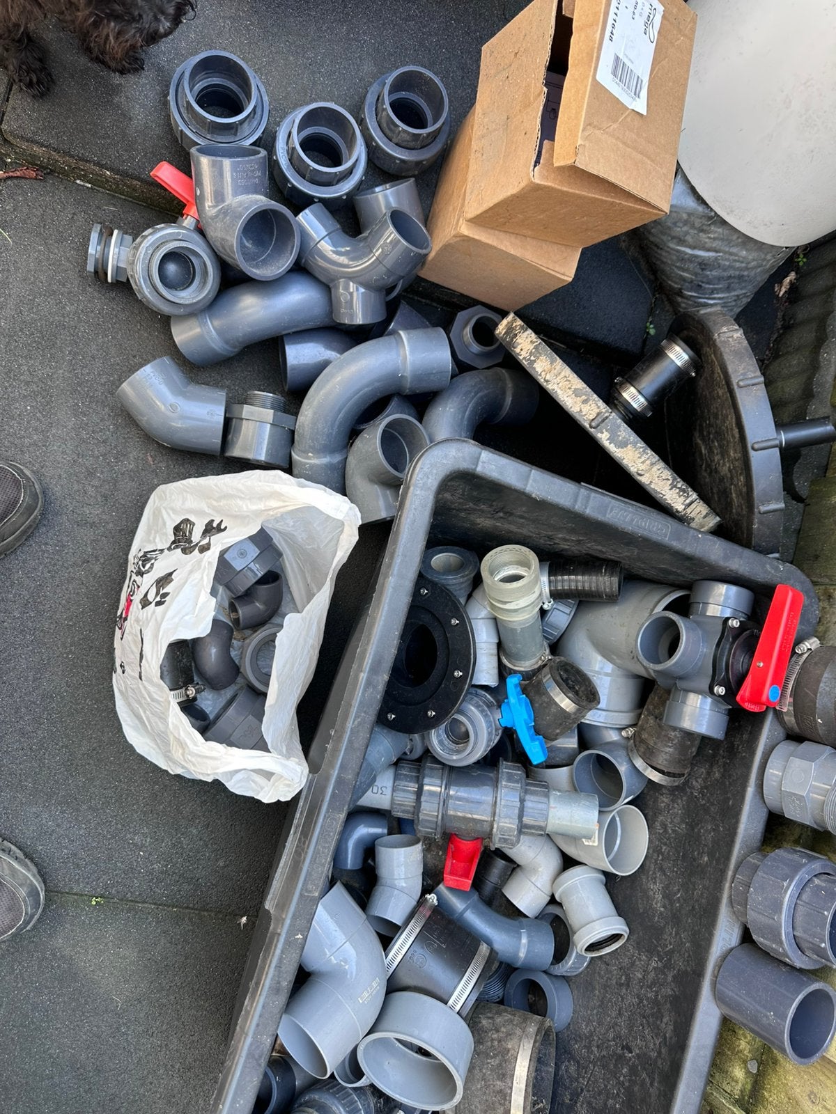 Gratis hard-pvc diverse, Dieren en Toebehoren, Karper of Koi