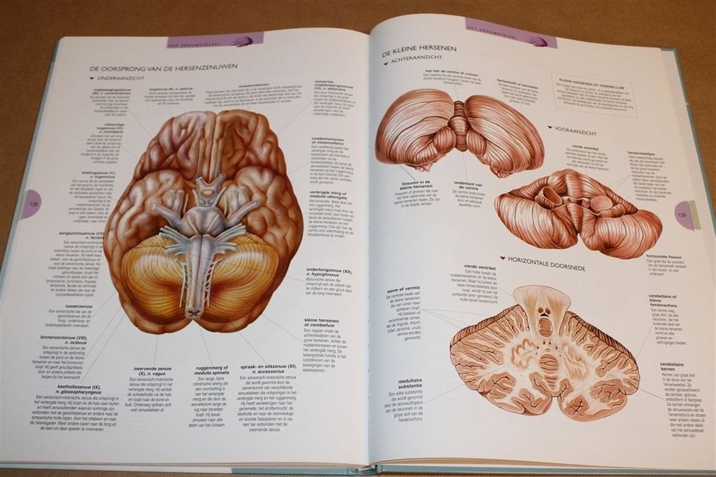 Grote Geïllustreerde Atlas van het Menselijk Lichaam, Ophalen of Verzenden, Zo goed als nieuw, Natuurwetenschap