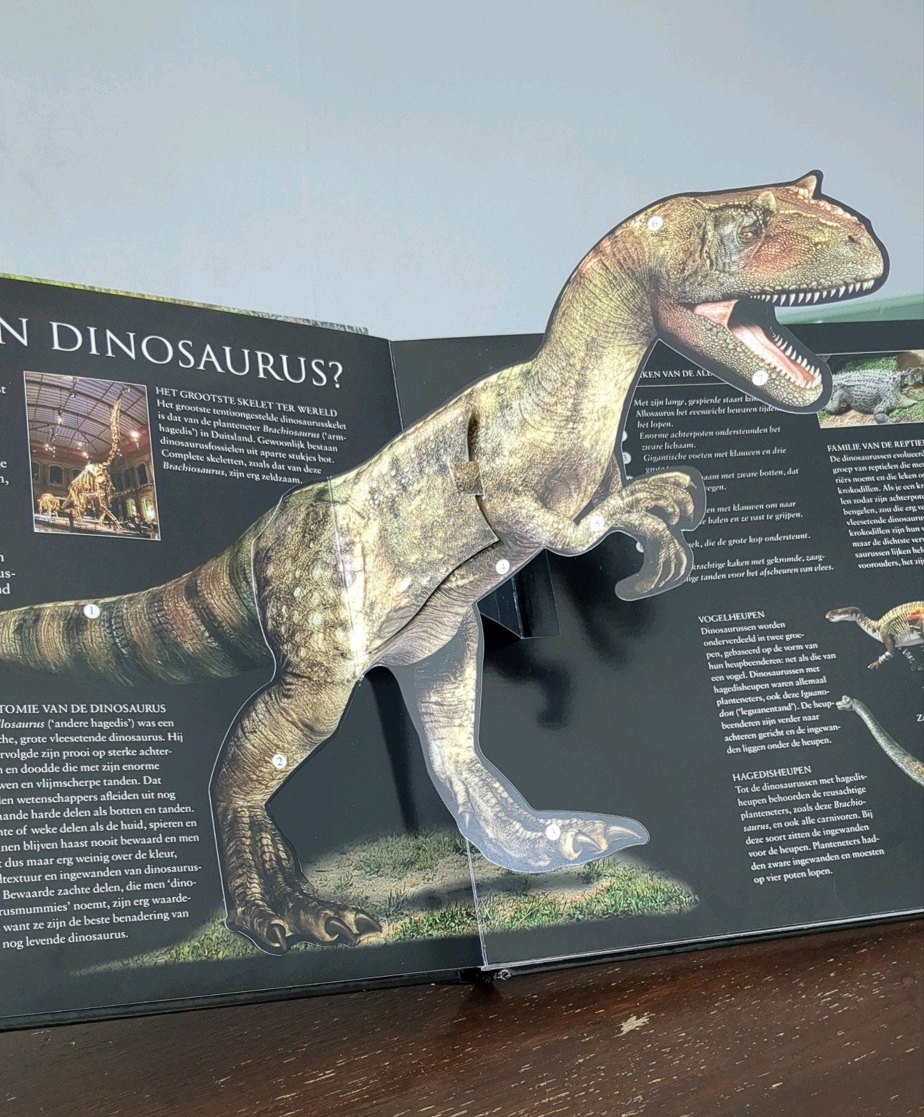 Fraai 3D pop up-boek Dinosaurussen, Ophalen of Verzenden, Gelezen, Onbekend, Non-fictie