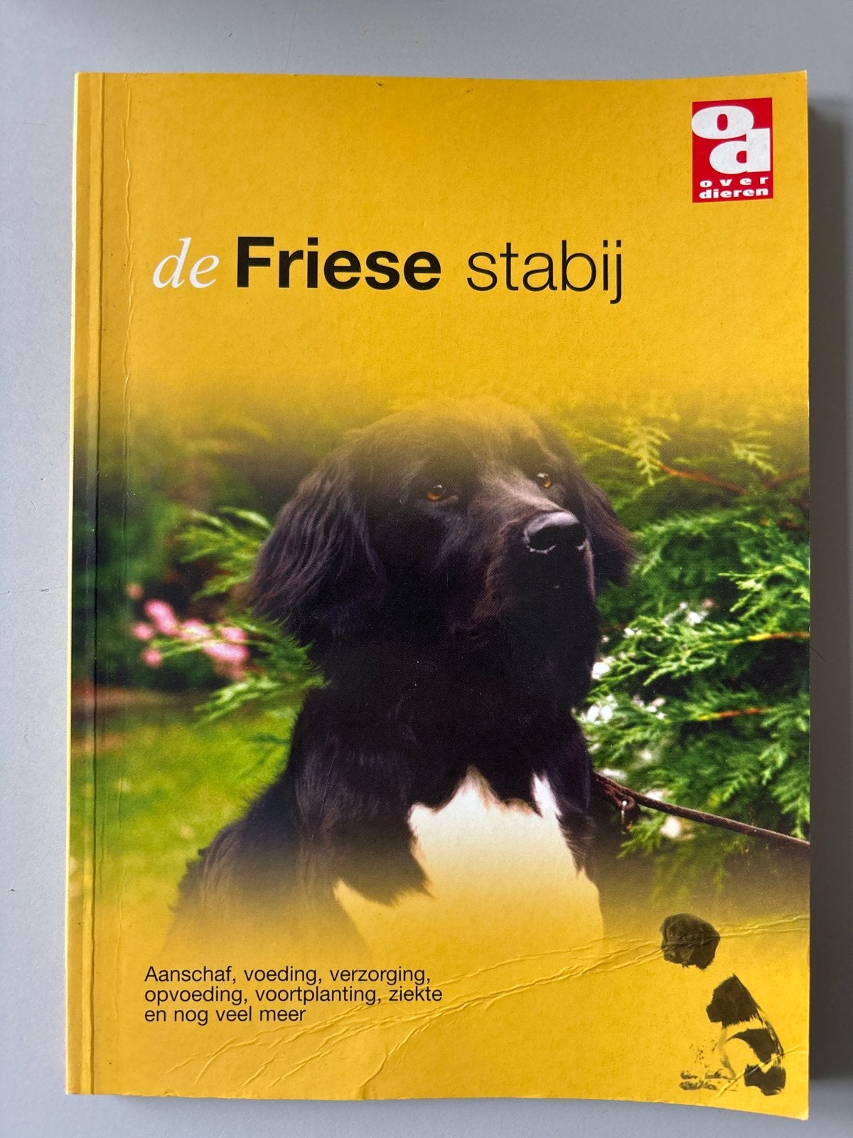 De Friese stabij - Boek over aanschaf, voeding en verzorging, Ophalen of Verzenden, Zo goed als nieuw, Honden