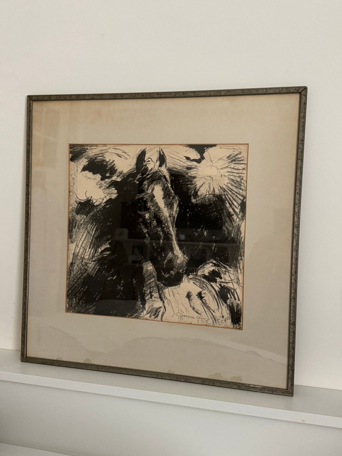 Lithografie op papier, Antiek en Kunst, Kunst | Litho's en Zeefdrukken, Ophalen, Dieren en Natuur, Ingelijst, Lithografie