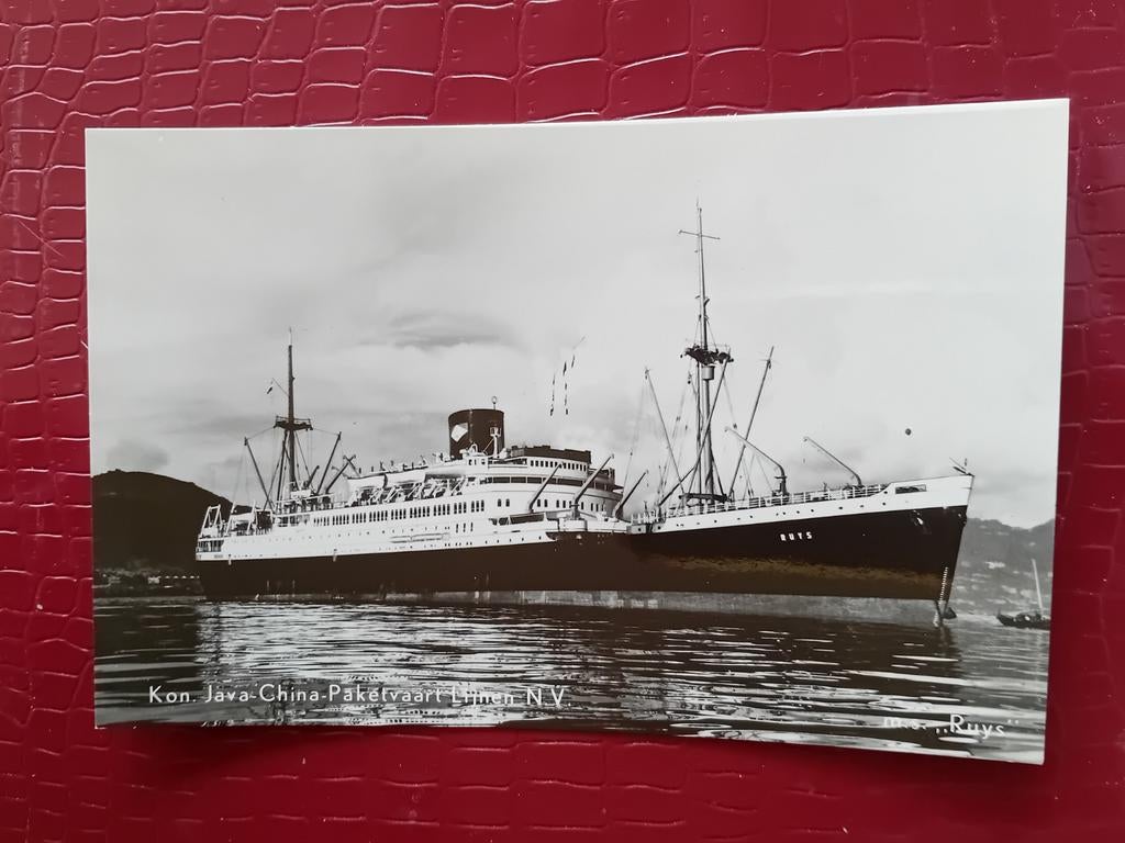 Ansichtkaart m.s Ruys, Verzamelen, Ophalen of Verzenden, Kaart, Foto of Prent