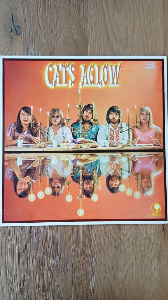 CATS - AGLOW - LP - VINYL, Ophalen of Verzenden